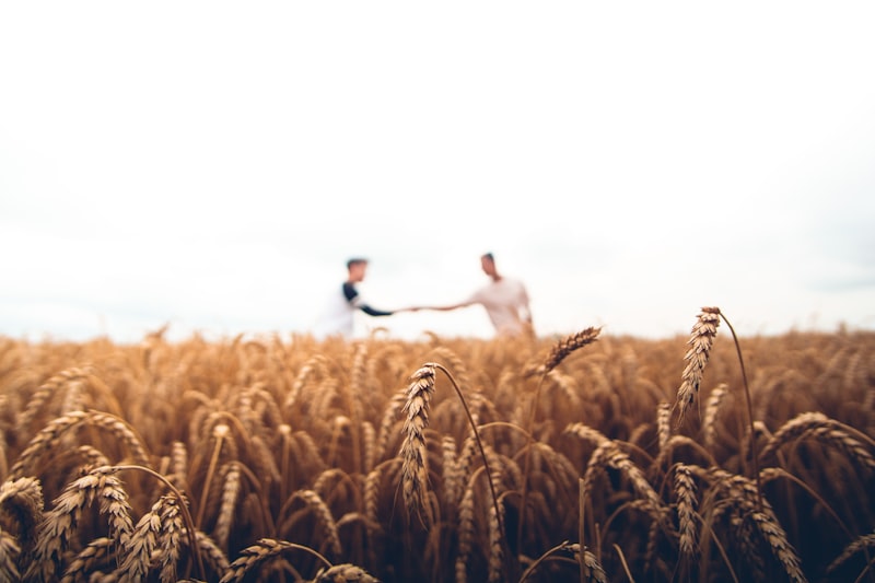 How Community Led Finance Is Transforming Smallholder Farming